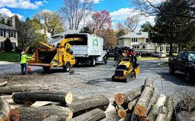 Best Seasonal Cleanup (Spring/Fall)  in Pocahontas, IA